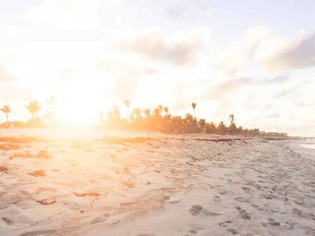 sun-nature